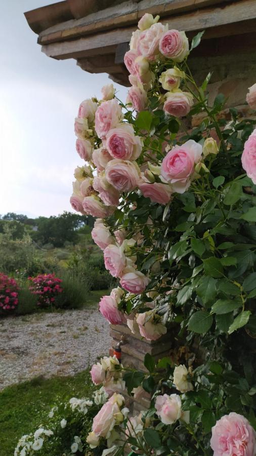 Il Casale Di Fiore Cannara Exterior foto